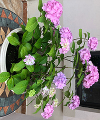 ��������ת��