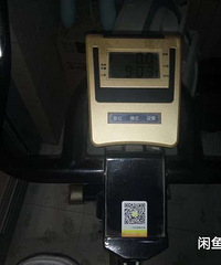 �����е���