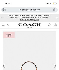 ����Coachޢ�۰���������ĺ��Ӱ�
