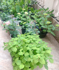 ����Ʒ���¼����������