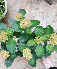 ������������������