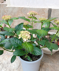 ������������������