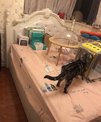 ŷʽ���˴������´���񣬳�2�����ң���1��56����