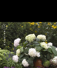 ���������޾����������