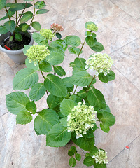 ���������޾����������