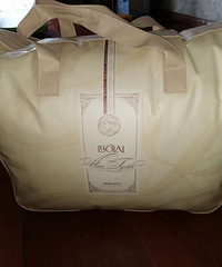 ������ë����ȫ�£�120��