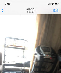 几岁的加菲猫