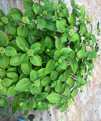 ��������������