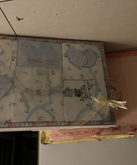 ���������100һ��