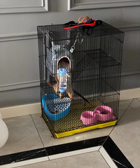 ת�ּ����һֻС��