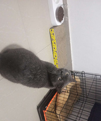 ������è