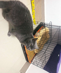 ������è