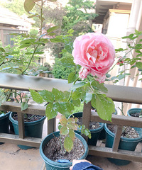 ����1�����¼�����