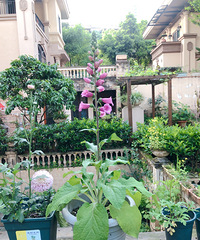 ����ë�ػưߵ㹷����