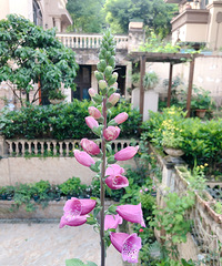 ����ë�ػưߵ㹷����