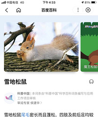 家有小宠出售