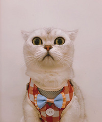 �����㹫���Ѿ���