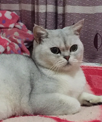 �����㹫���Ѿ���