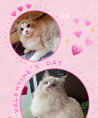 ������Сè�Ҽҳ���