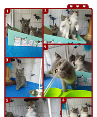 ��è�����ף��¼ҳ�