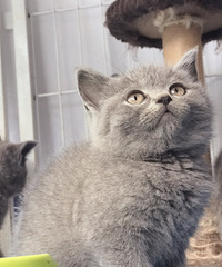 ��è�����ף��¼ҳ�