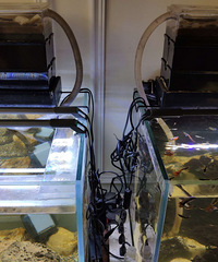 ����Ĺ�����ȫ������豸