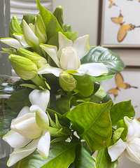 �˼Ҳ���ת��