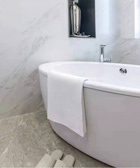 ˫������B��