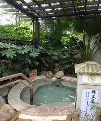 贝迪颐园温泉次卡,还有两次,120包邮