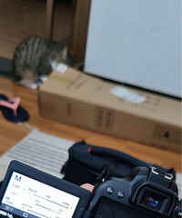 佳能800D 18-55套机便宜出手