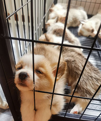 �»��������¼���~