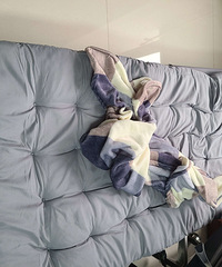 ��۰칫���۵���