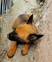 ����Ŭ��Ȯ����Ȯ����