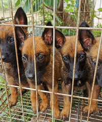 ����Ŭ��Ȯ����Ȯ����