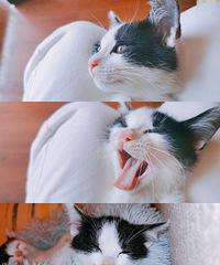 �����˳�Ƹ�ܼ�