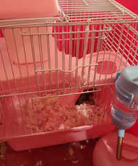 ת���󼰲�����Ʒ��