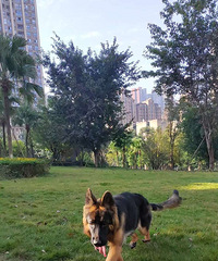 ����ʱ���չˣ����ۼ�������һֱ����������