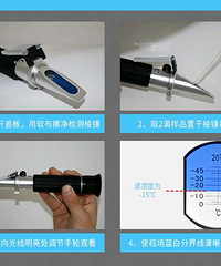 ��Ĥ�����Ϲ�ŷ����˳�ƴ�