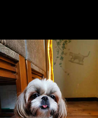 ��ʩ�������¼�