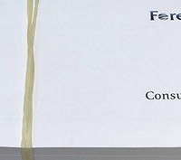 ת���������ȯ