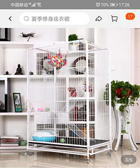 转一个一米三的猫笼子 送猫砂 电推子等用品