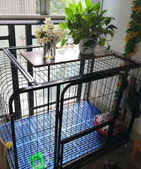 犬舍出售