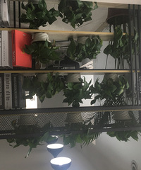 ���ո���