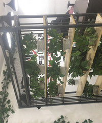办公室植物出售