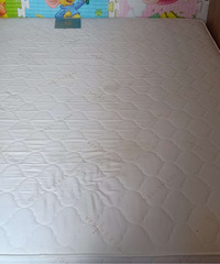 Բ��԰����ת��