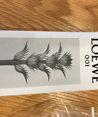 loewe�º��峿001����EDT