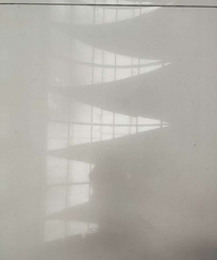 �ֽ���ҽ��������ֲ����