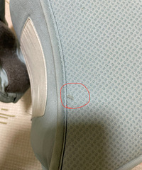 b?b?c���ʣ���ѩ����