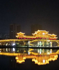 自己拍的照片