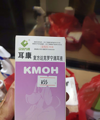 纯种柴犬找领养